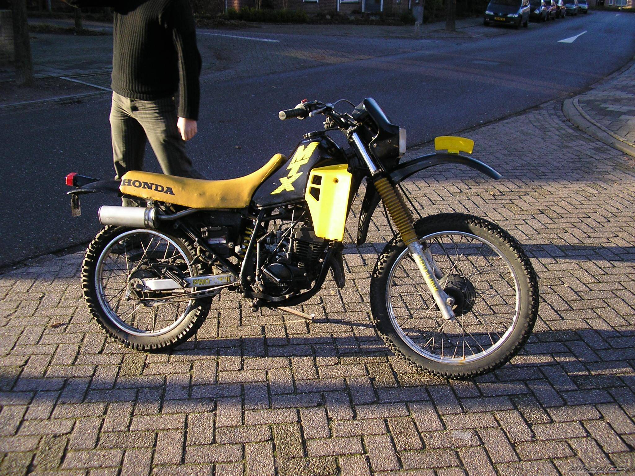 Photo 261274