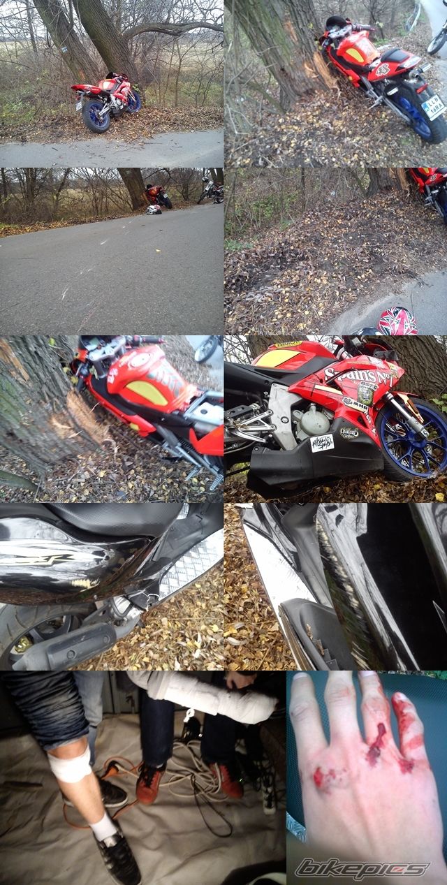 Photo 2612742
