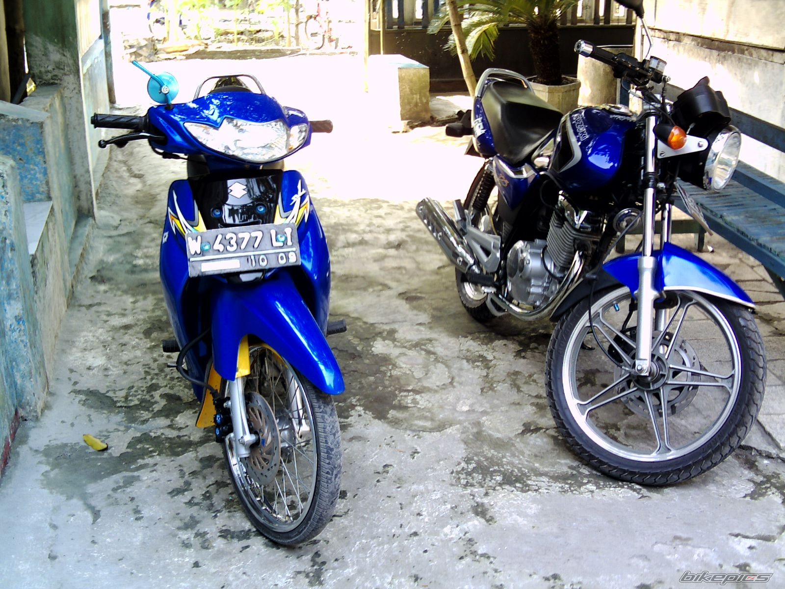 Photo 2612883