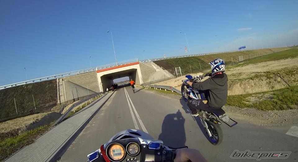 Photo 2612940