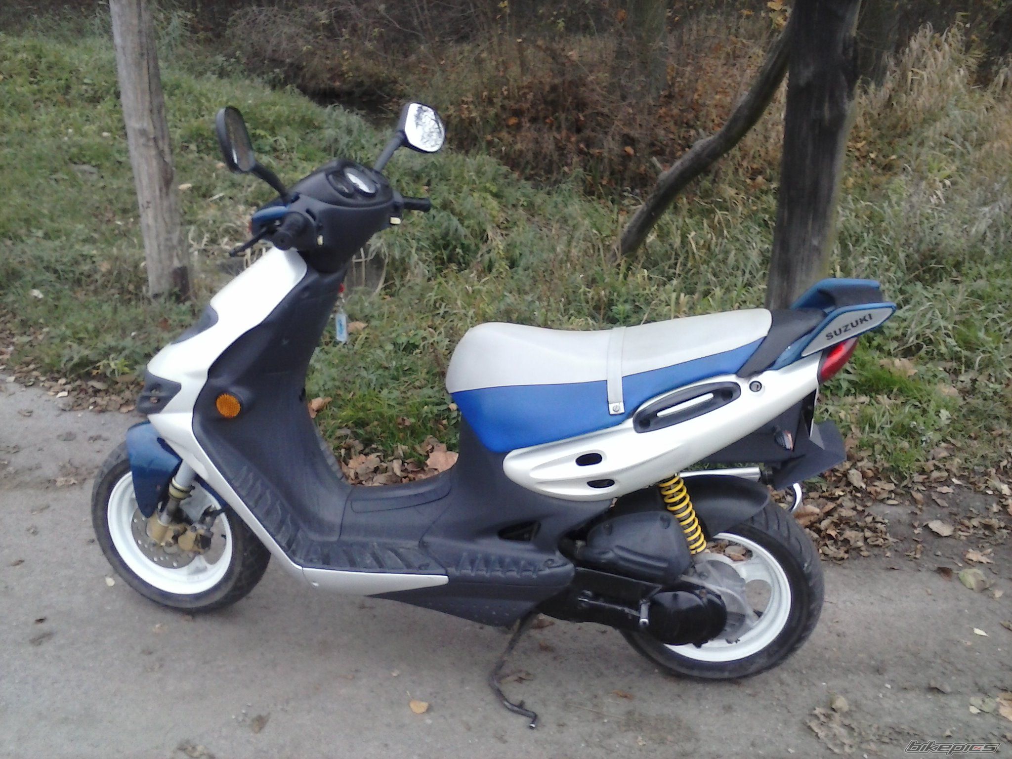 Photo 2612955