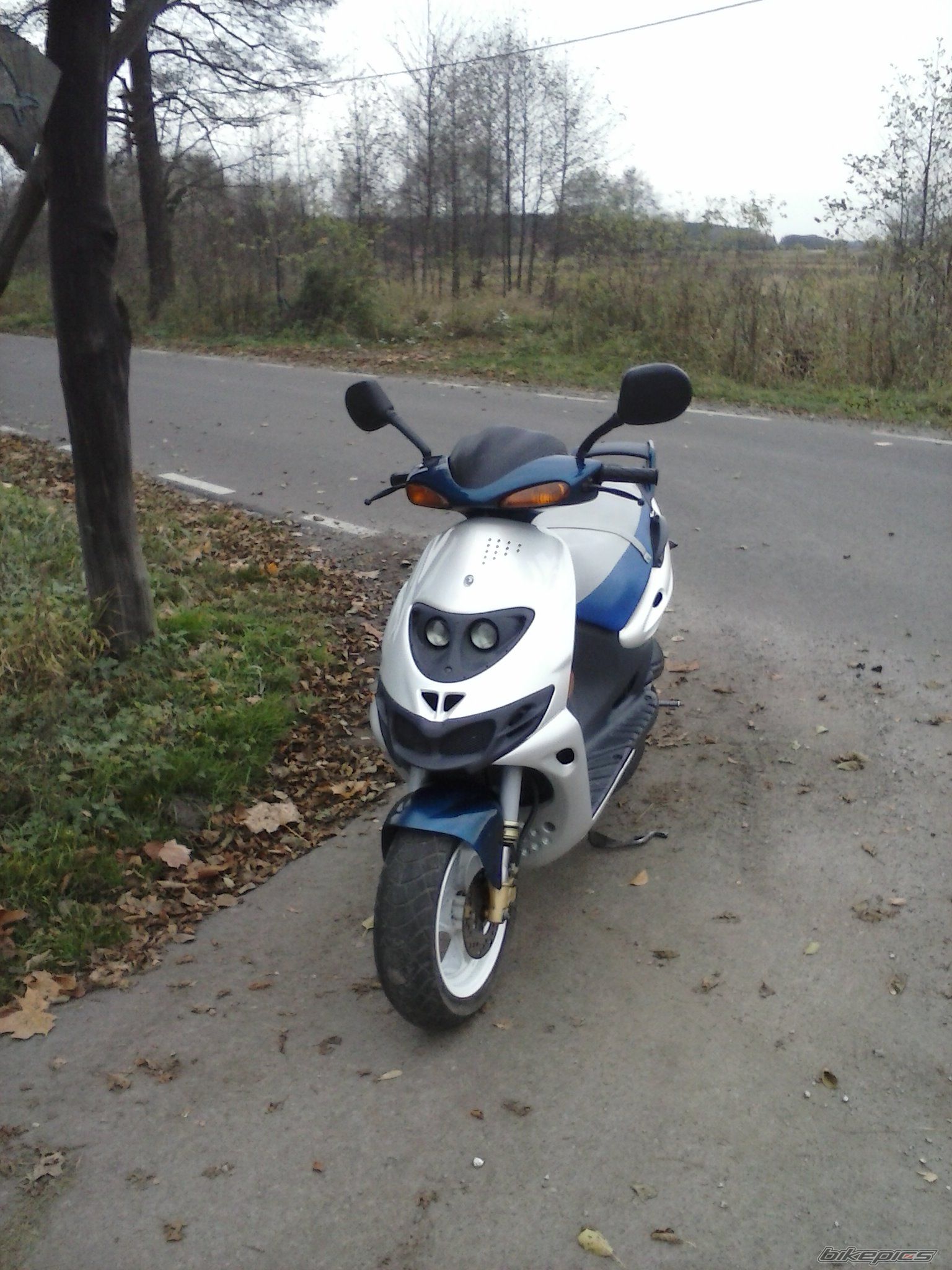 Photo 2612956