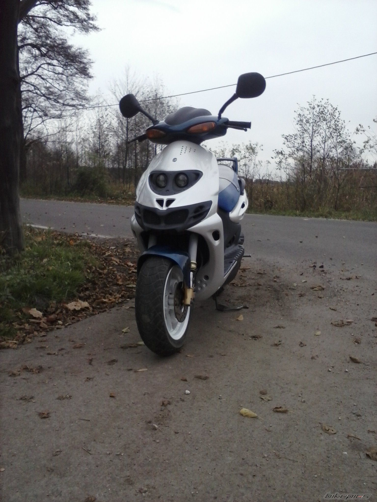 Photo 2612958
