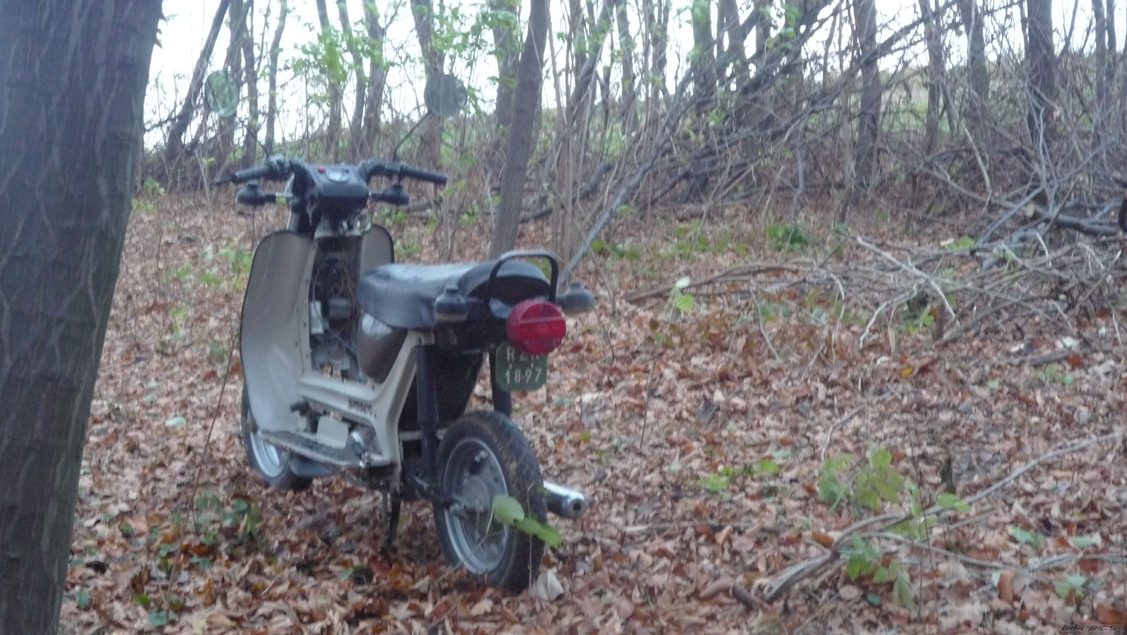 Photo 2613002