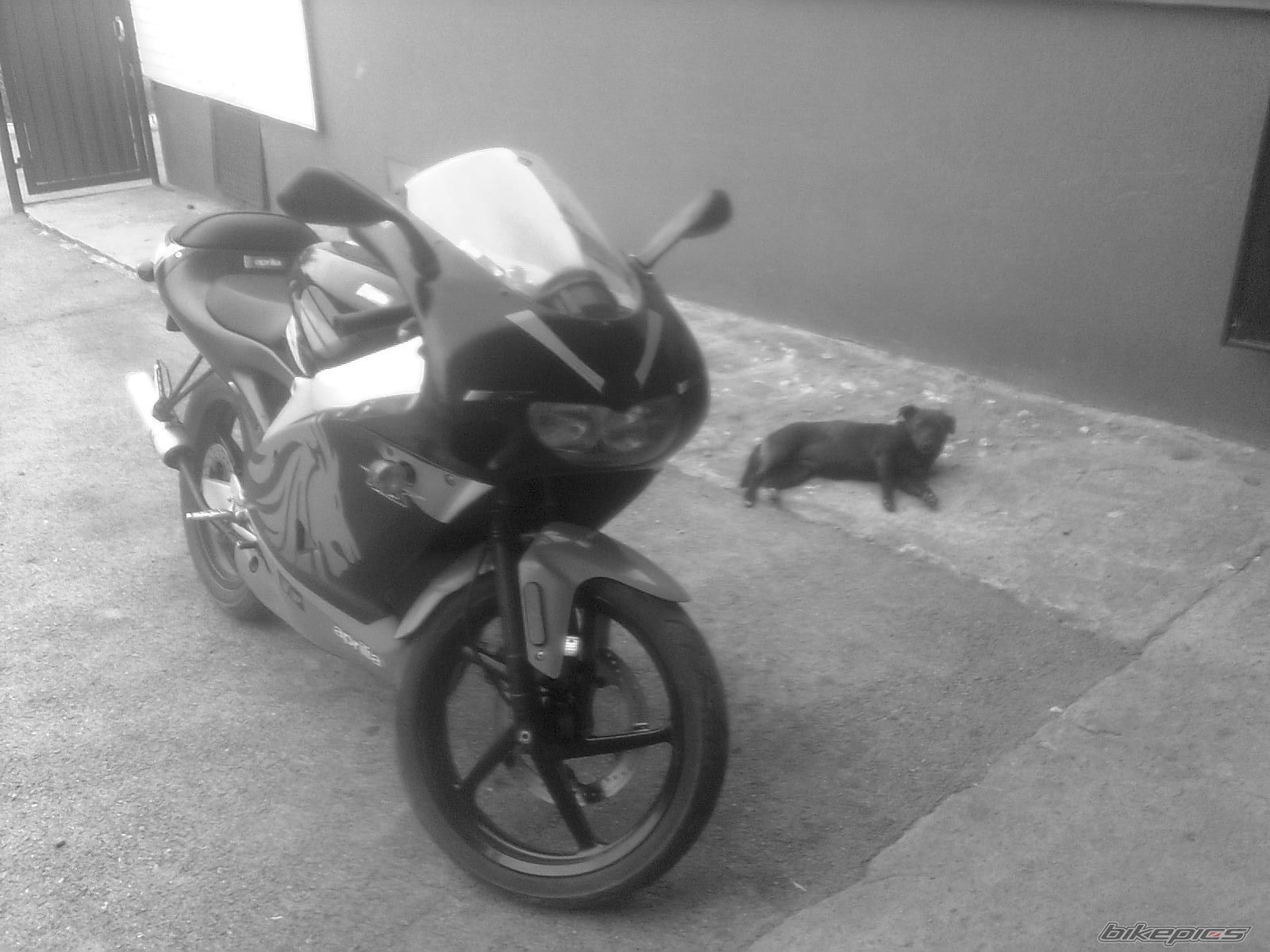 Photo 2613046