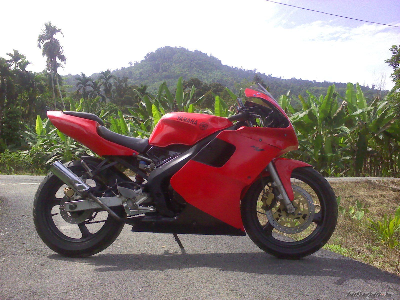 Photo 2613163