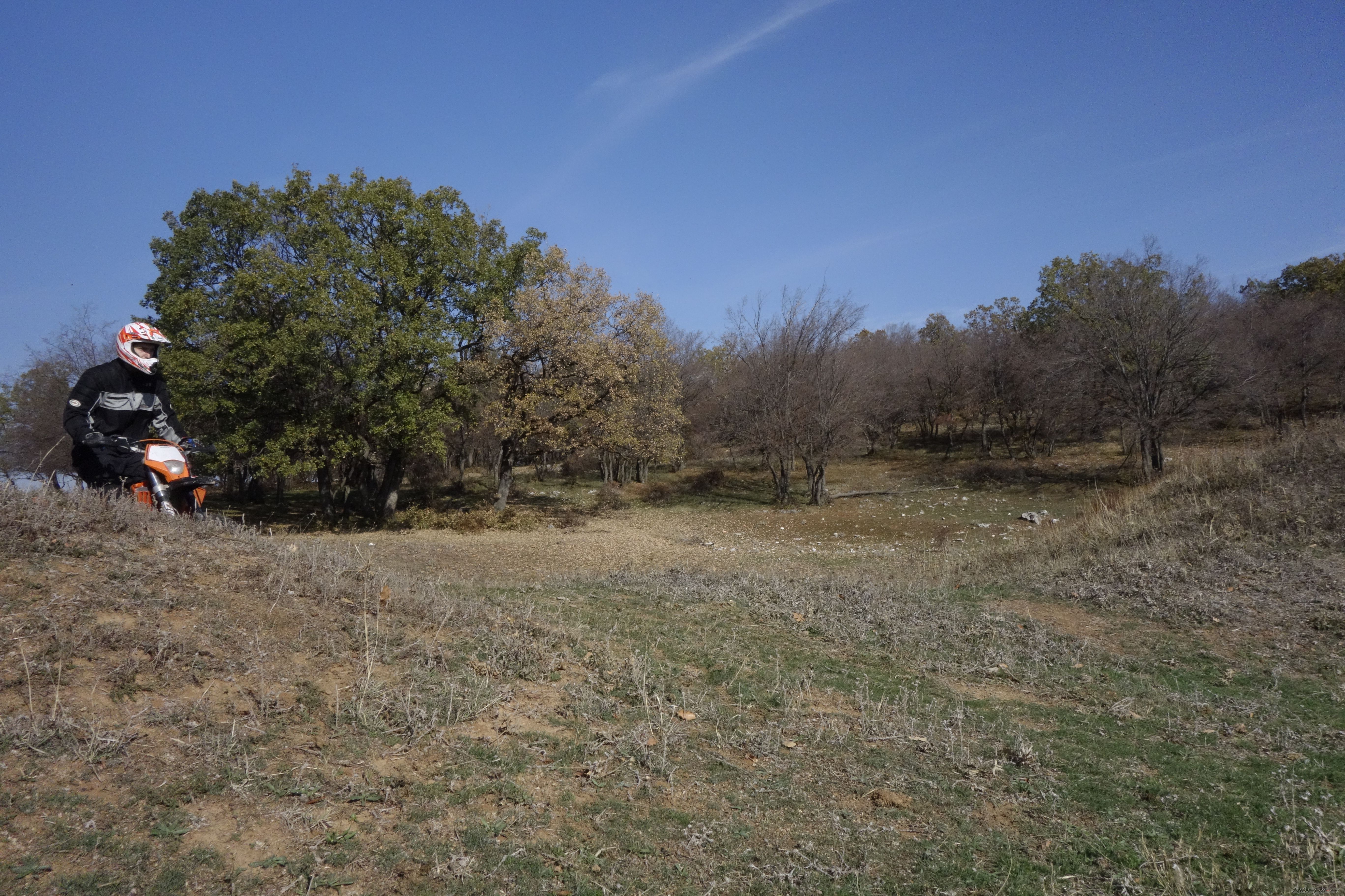 Photo 2613216