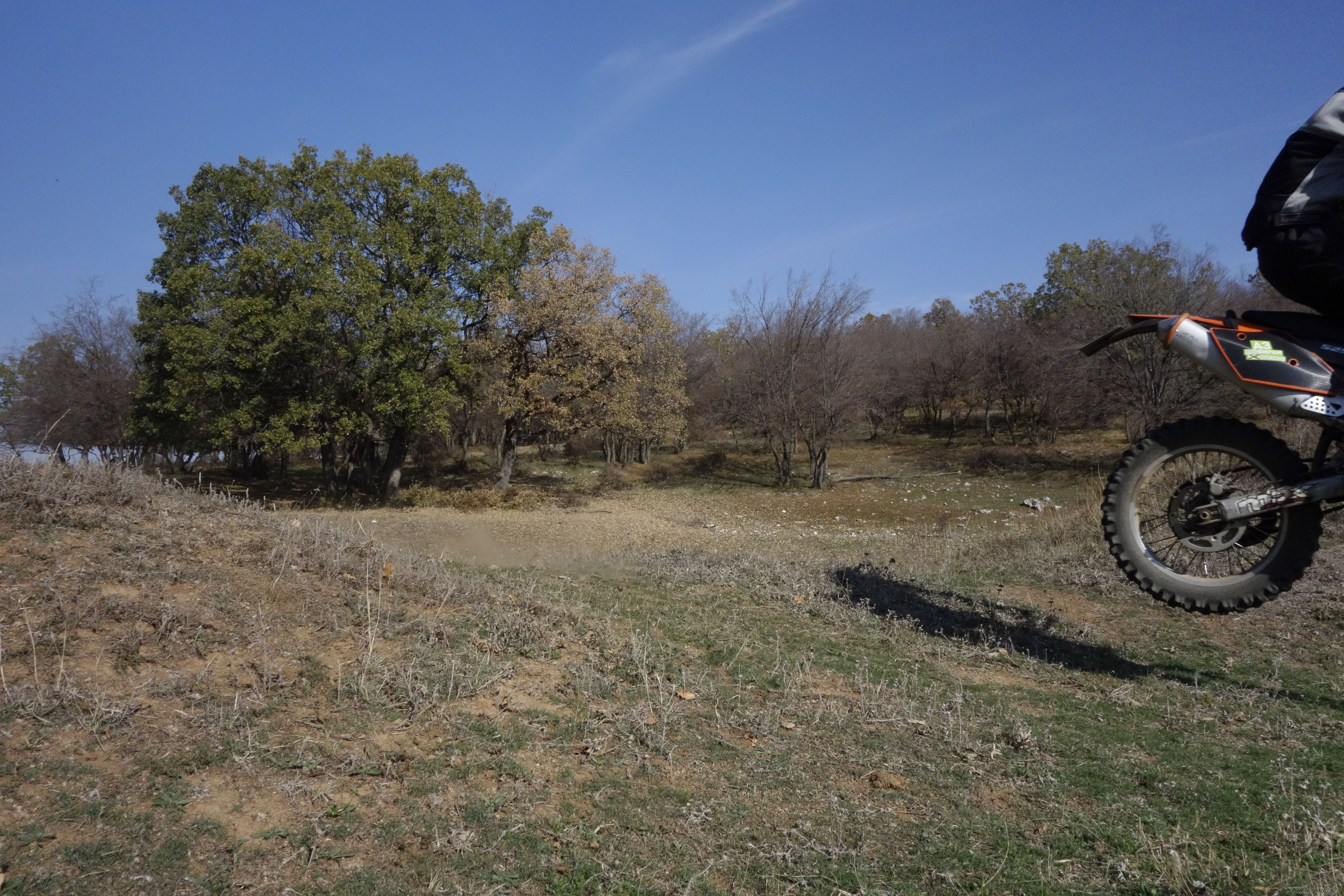 Photo 2613221