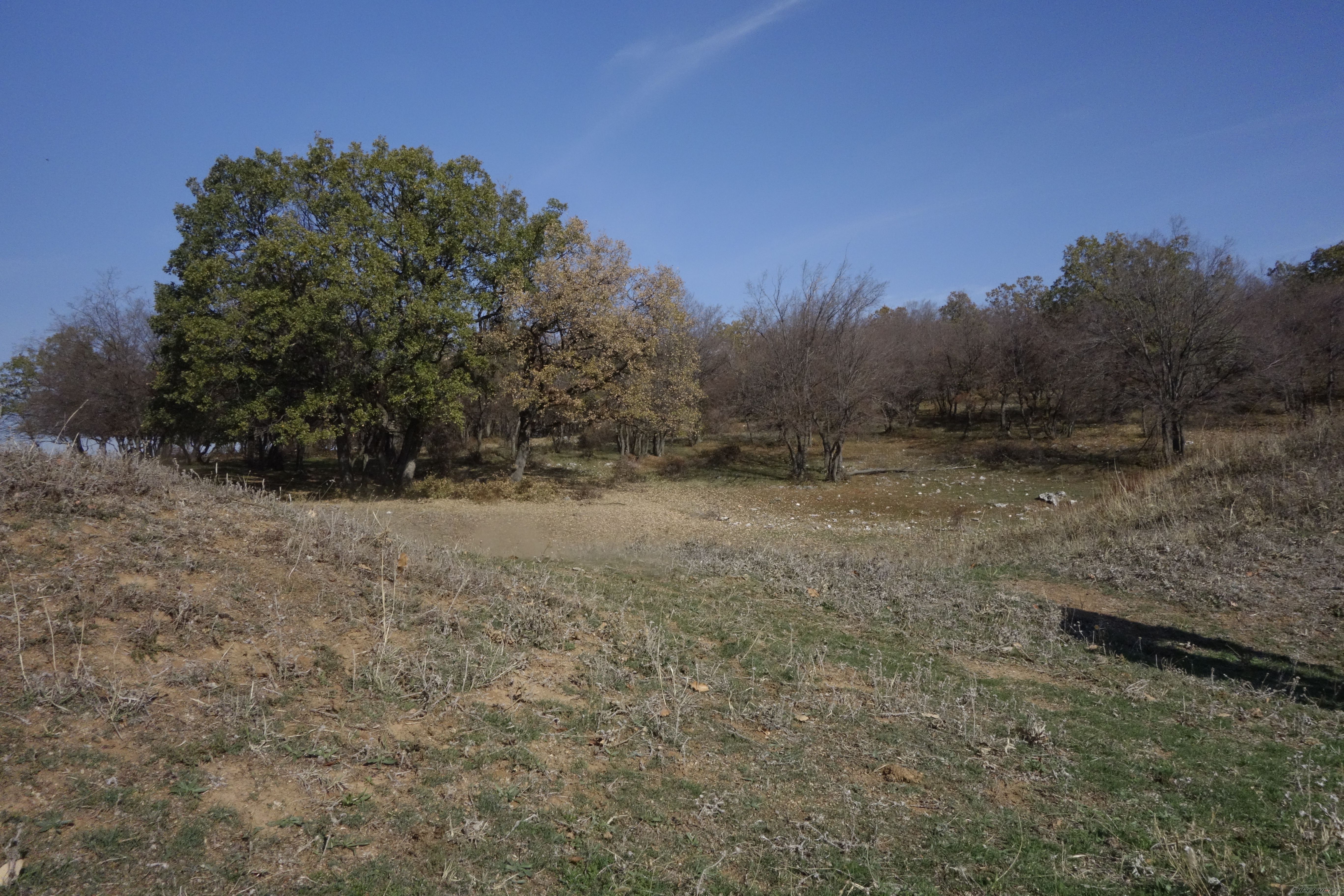 Photo 2613222