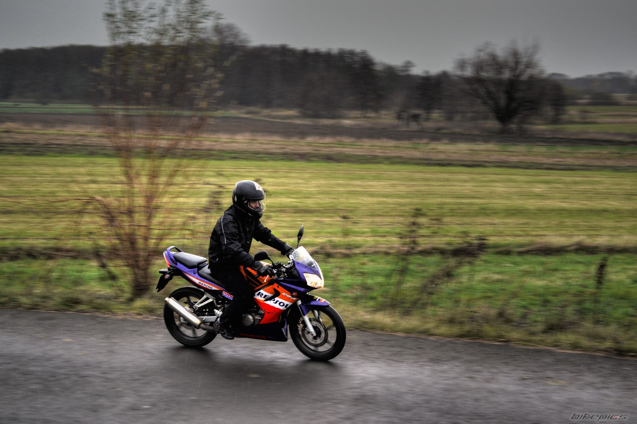 Photo 2613226