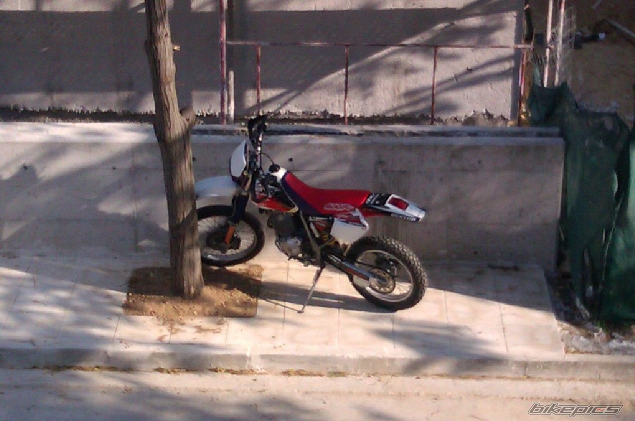 Photo 2613258