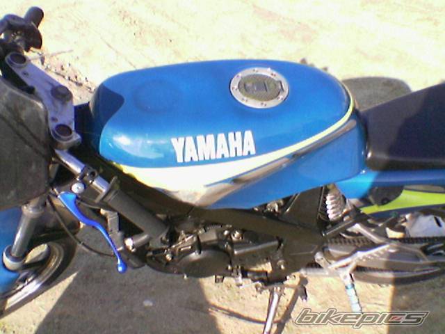 Bike Photo 261329