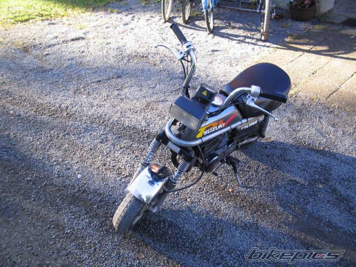 Photo 261332
