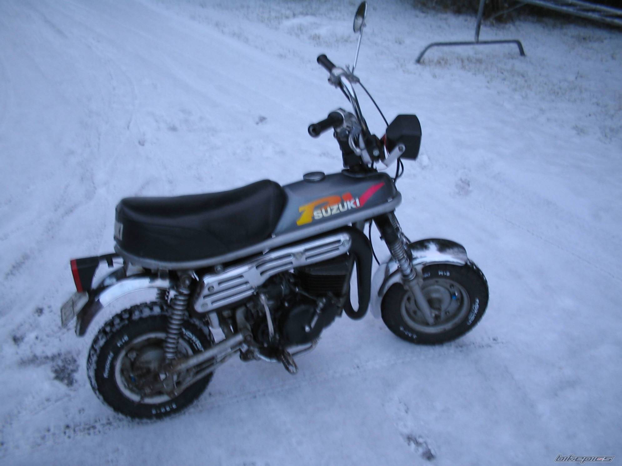 Photo 261336