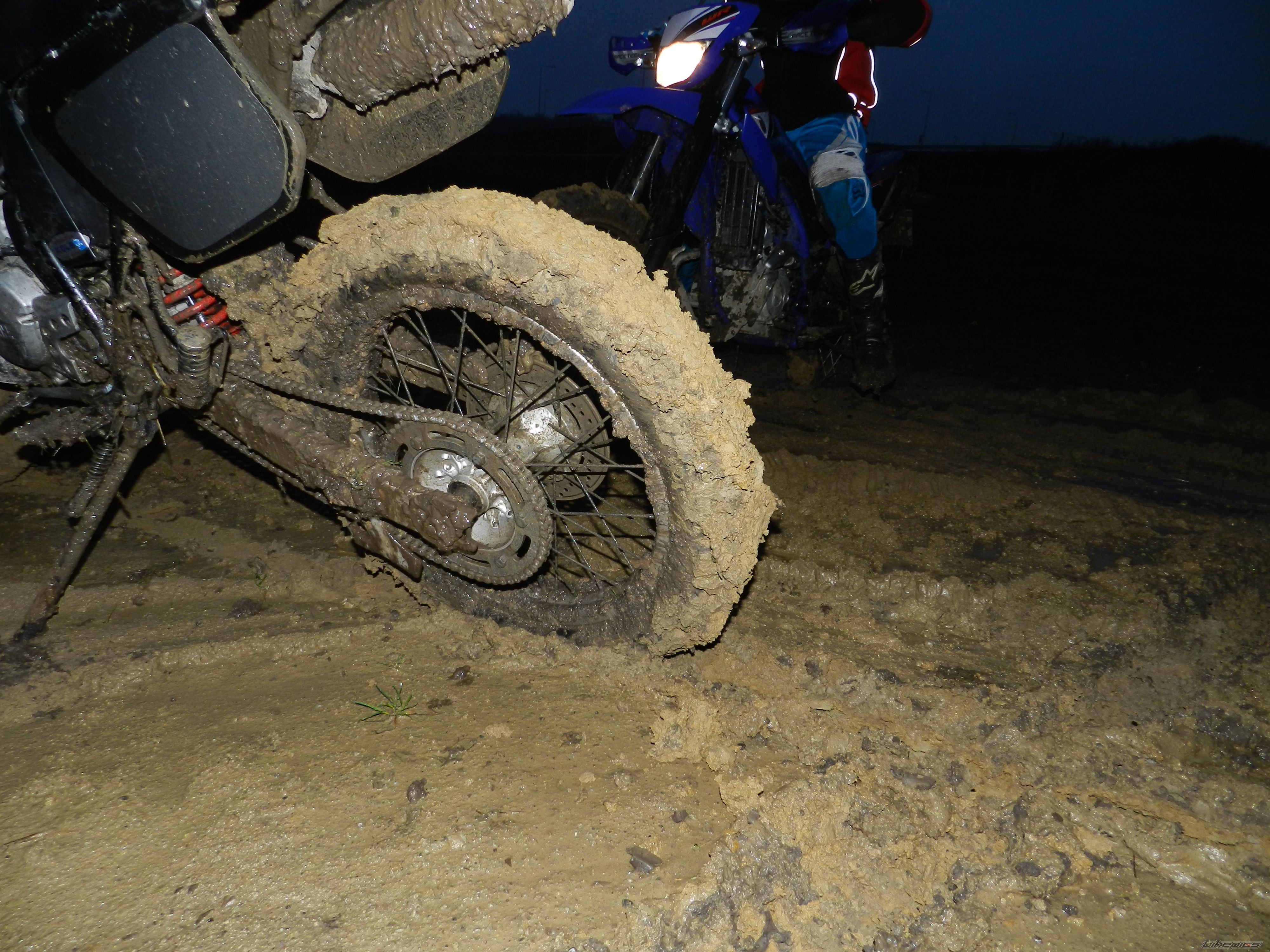 Photo 2613387