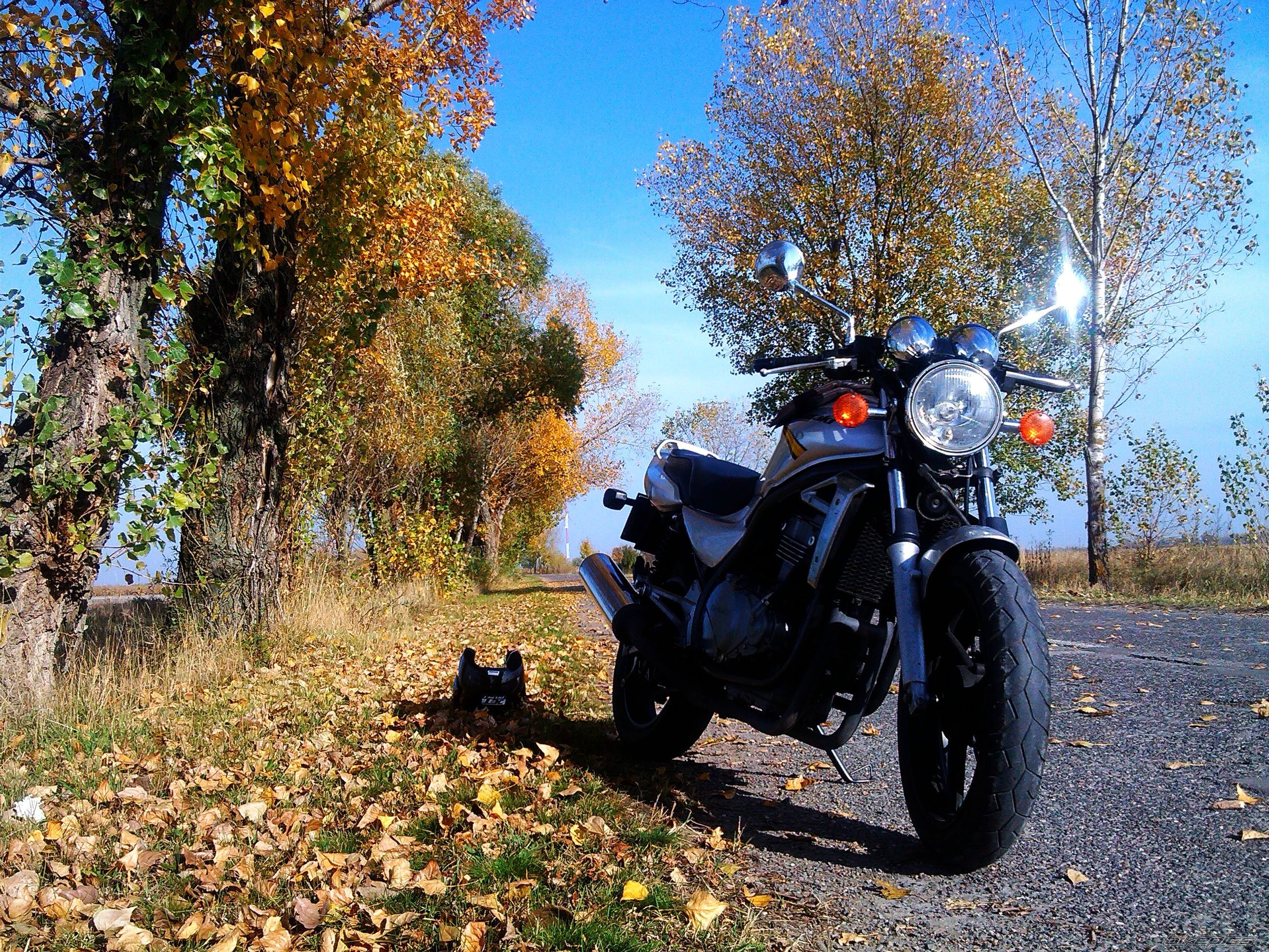 Bike Photo 2613531