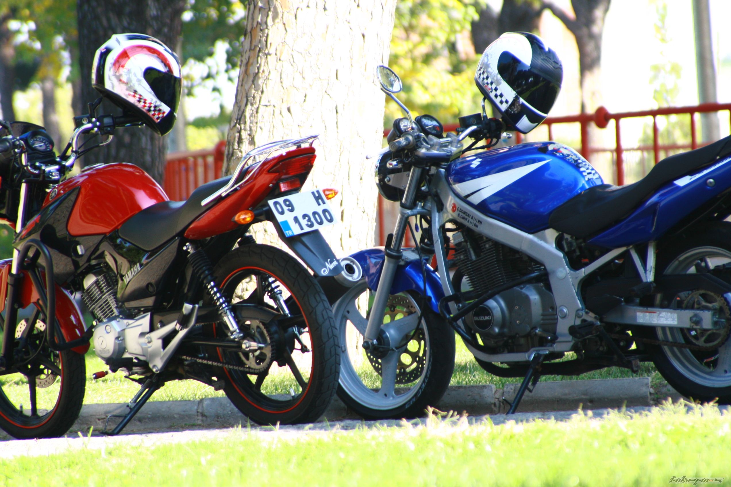 Photo 2613621
