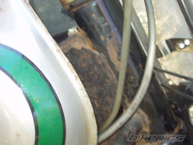 Photo 2613792