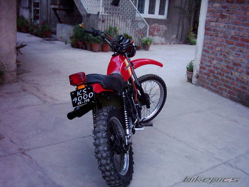 Photo 261393