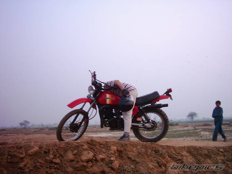 Photo 261397