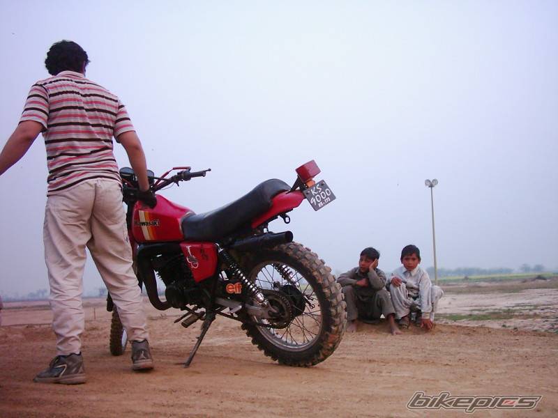 Photo 261399