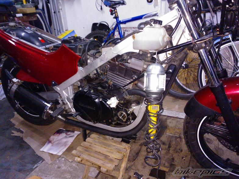 Photo 2613994