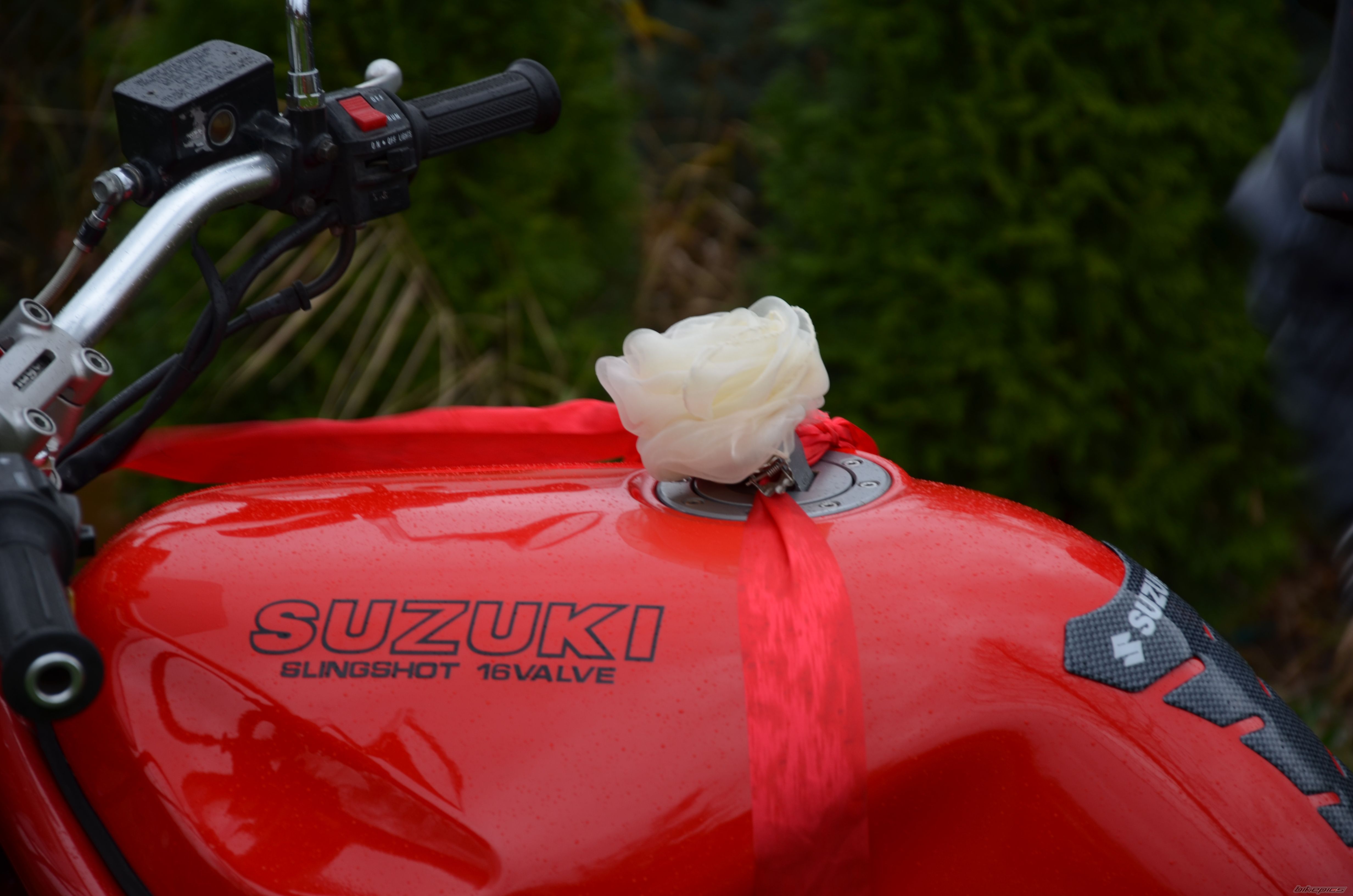Photo 2614392