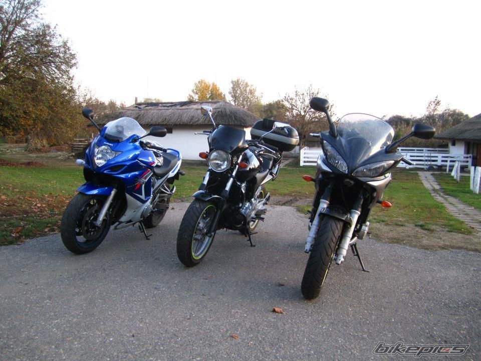 Photo 2614408