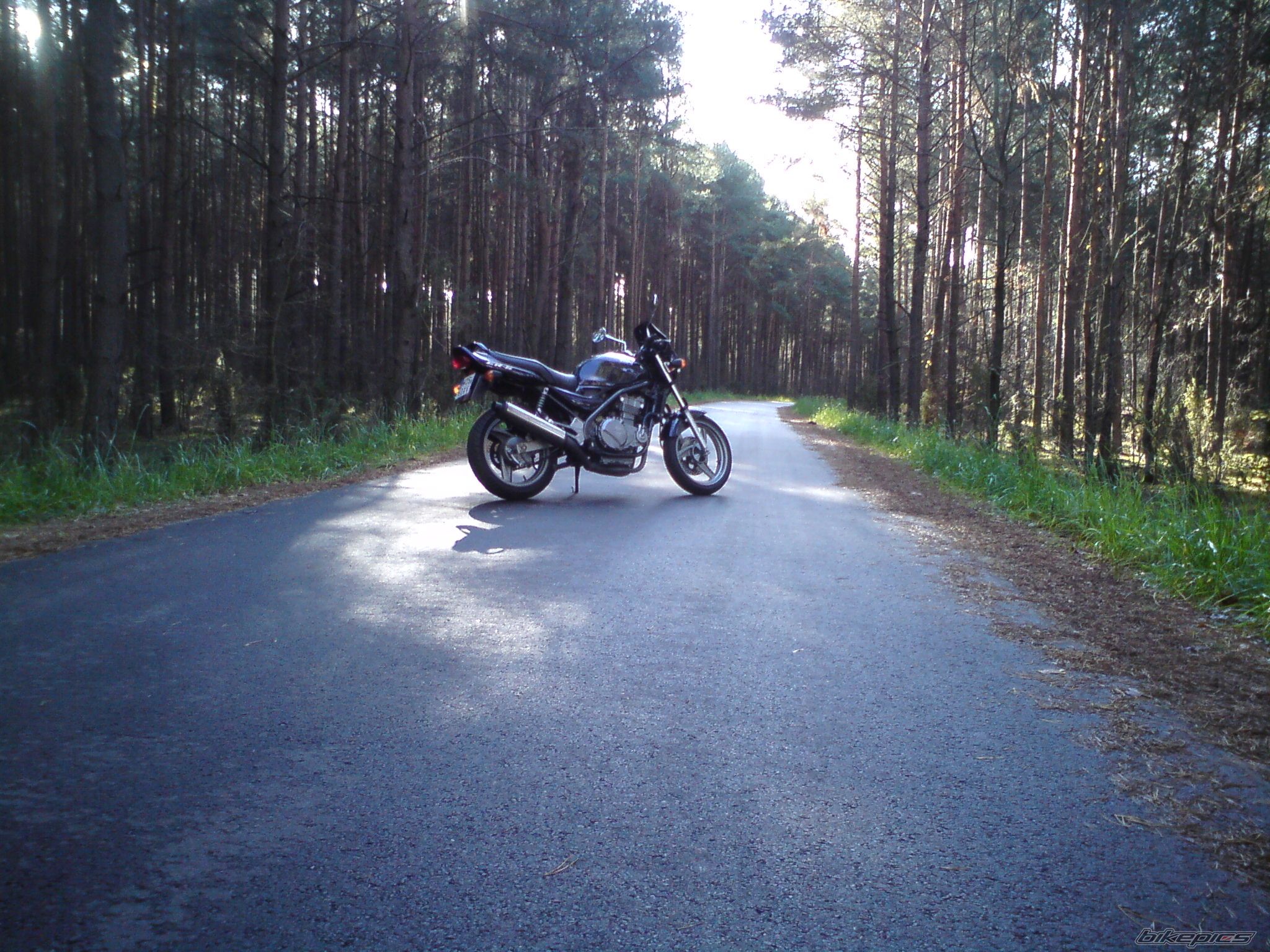 Photo 2614461