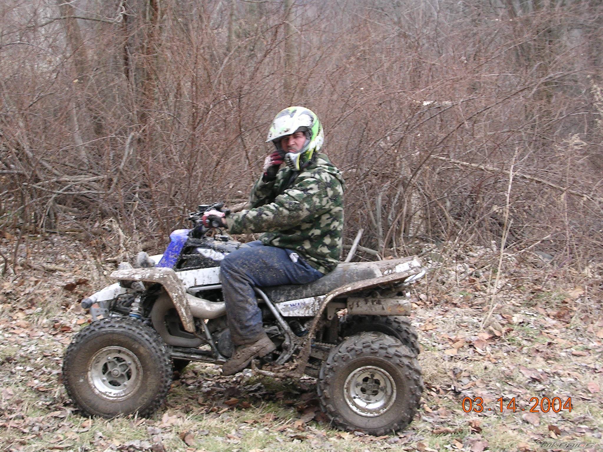 Photo 261450