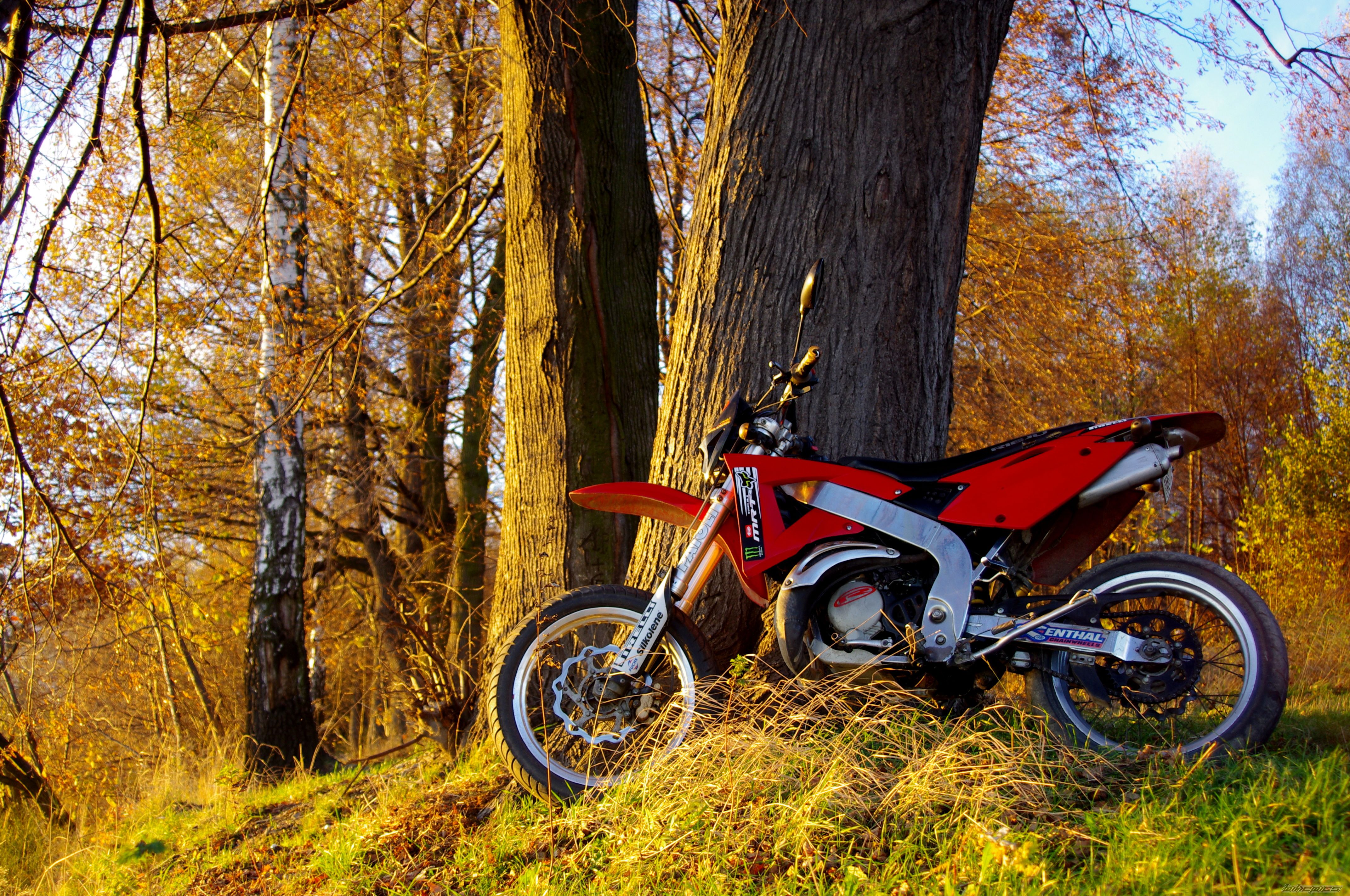 Bike Photo 2614512