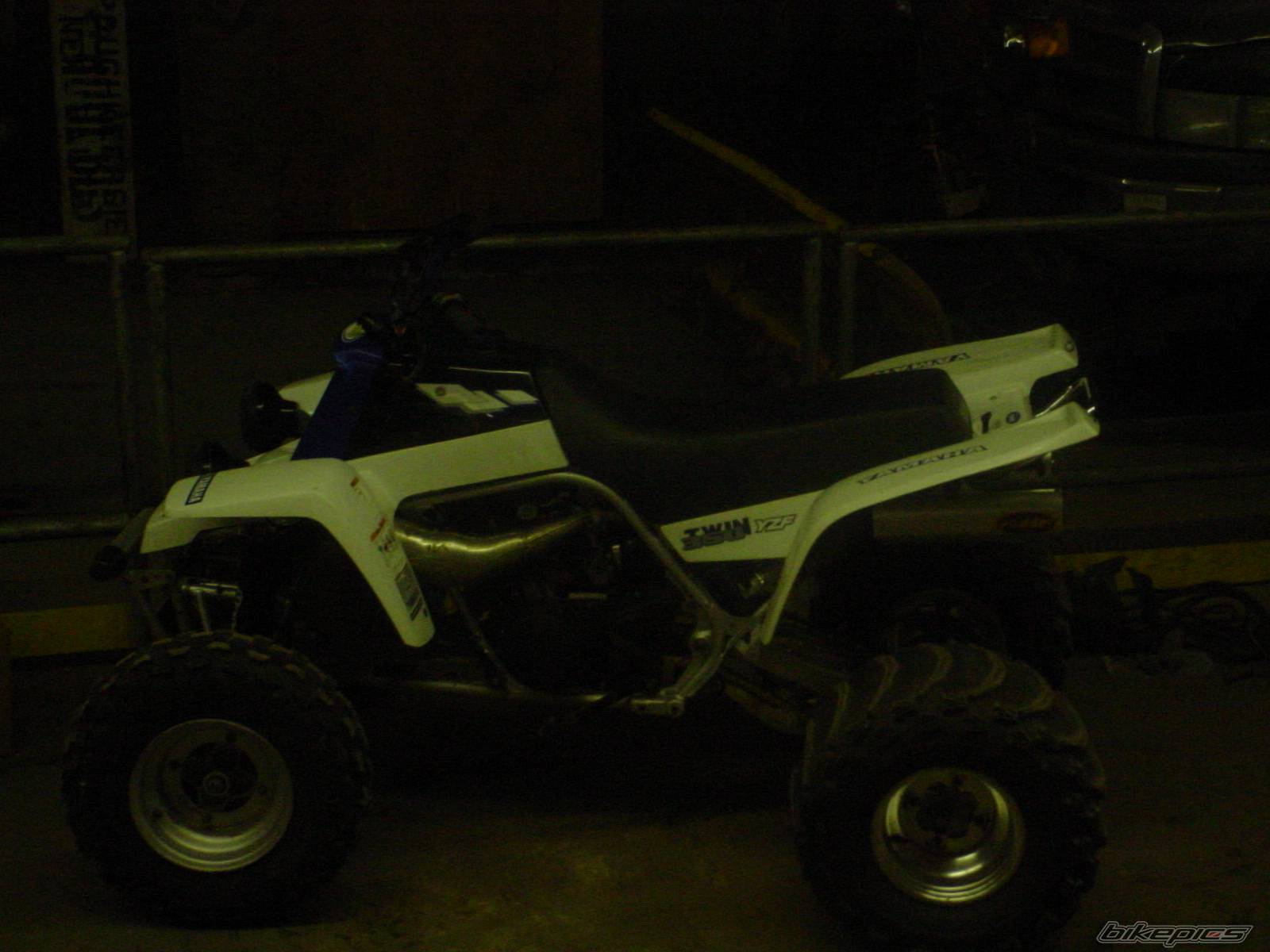Photo 261452