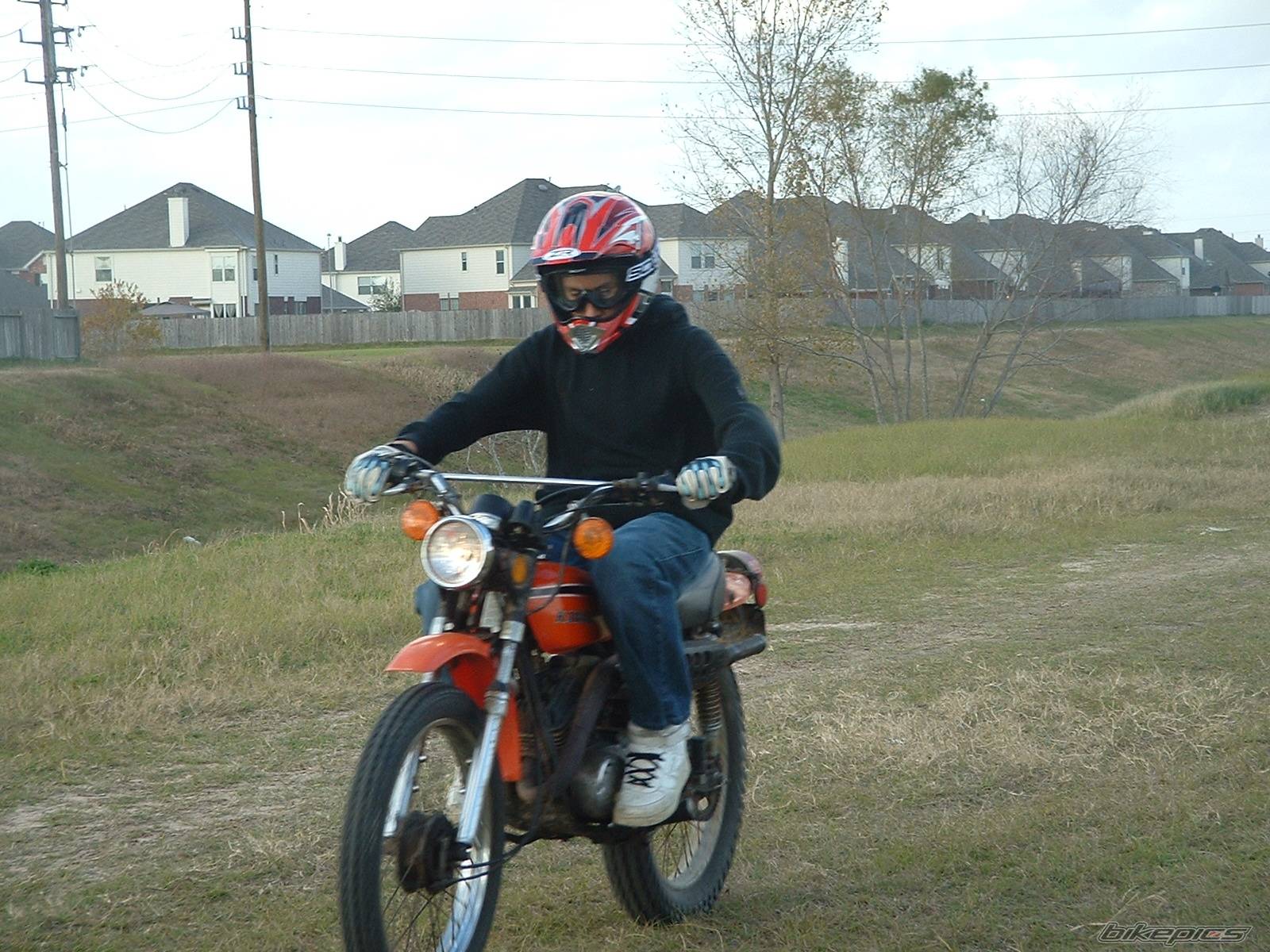 Photo 261459