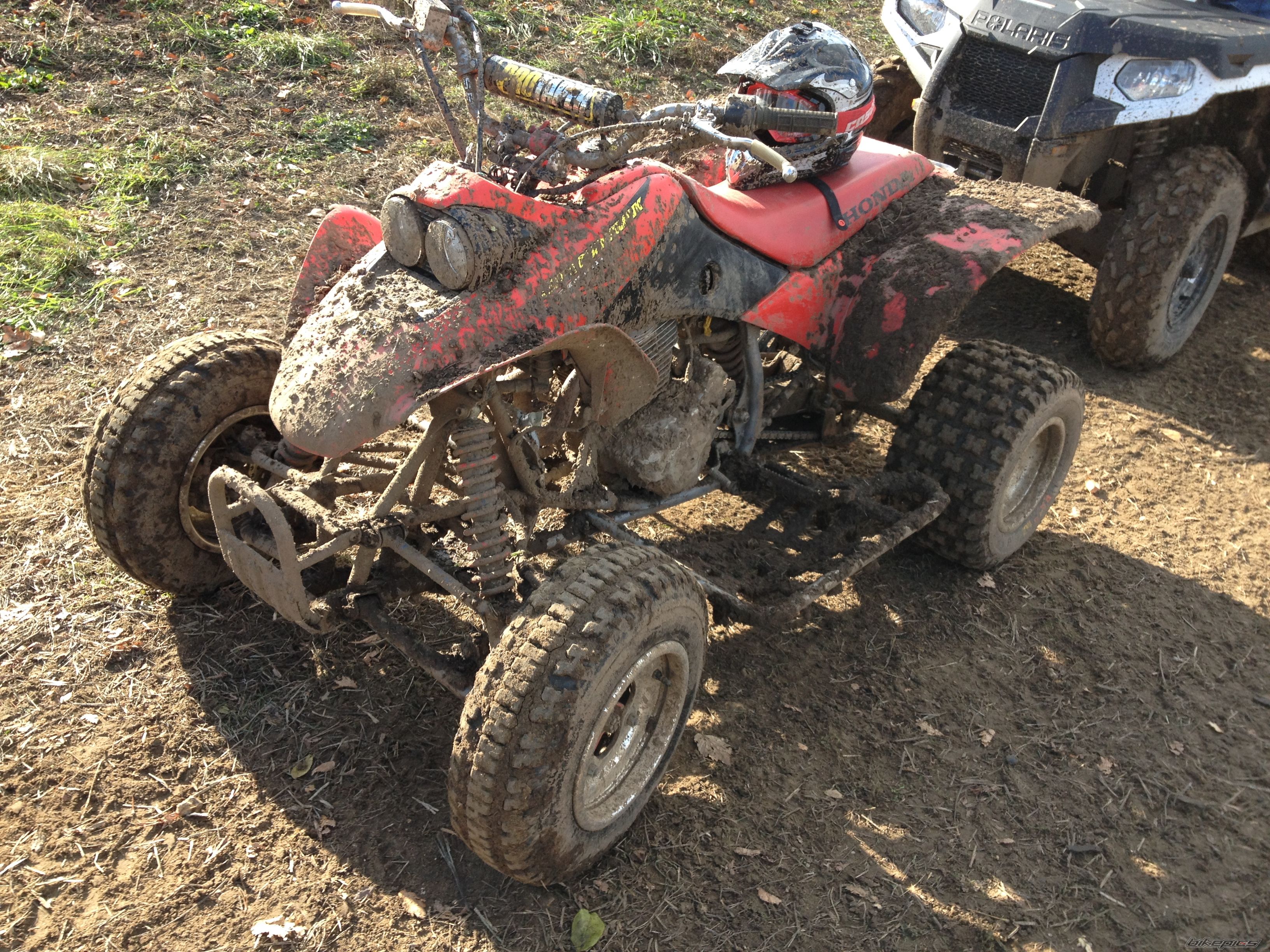 Photo 2614602