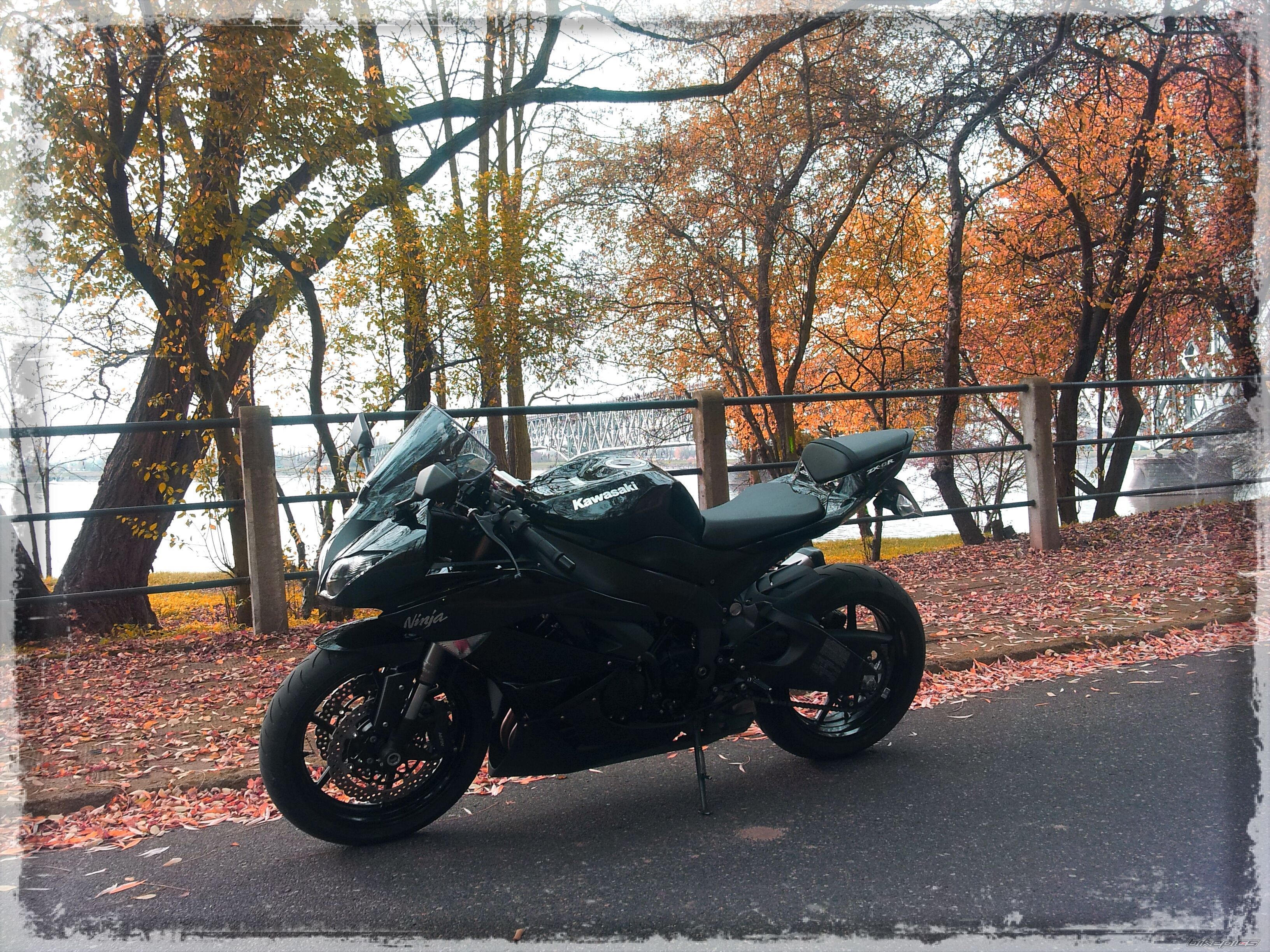Bike Photo 2614611