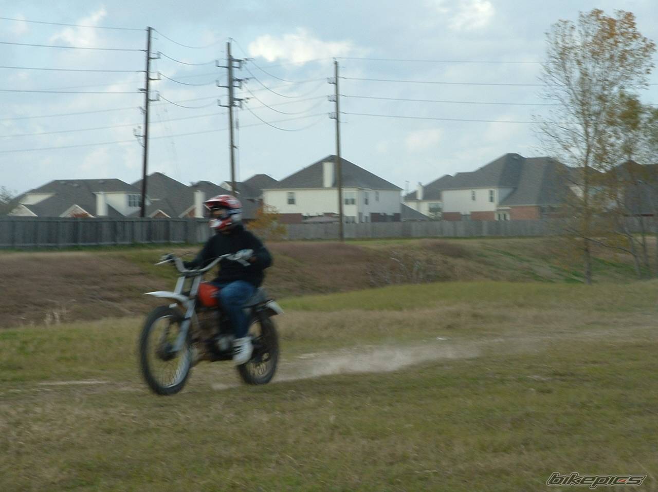 Photo 261465