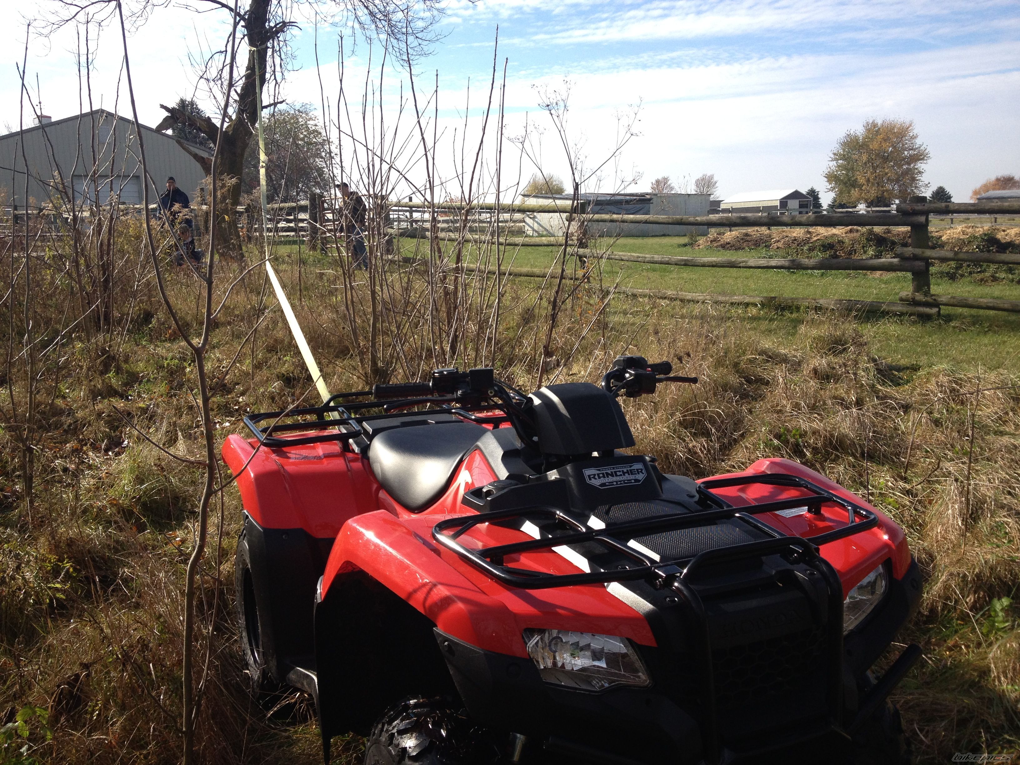 Photo 2614880