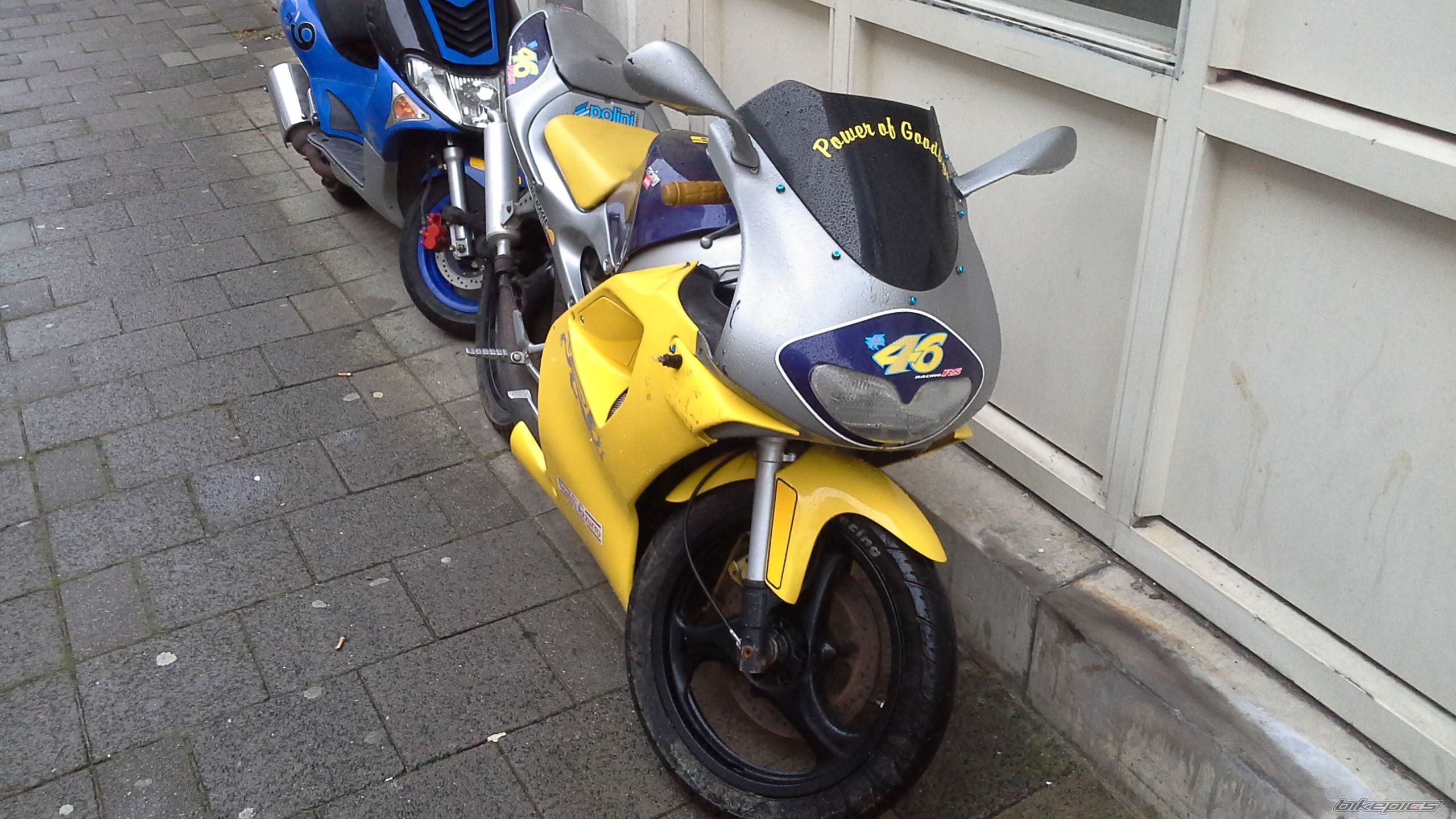 Photo 2614938