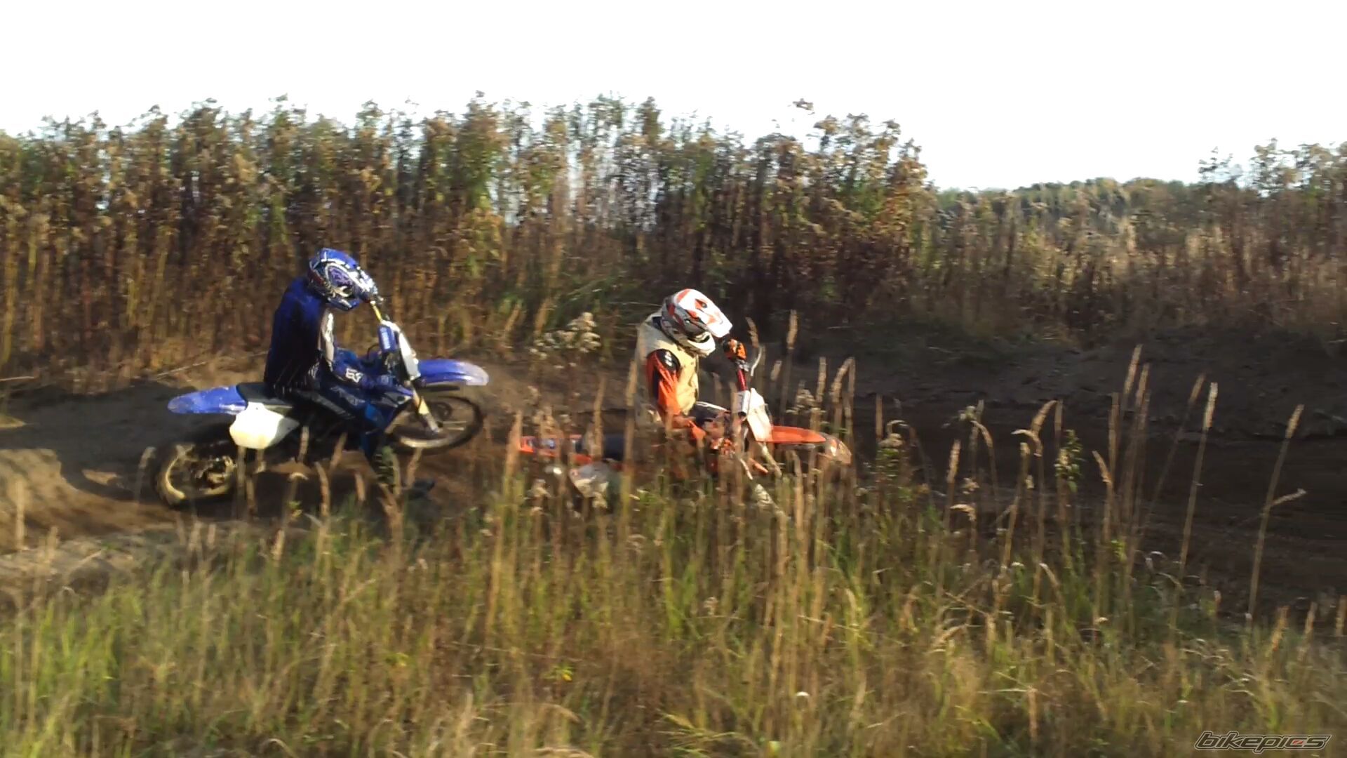 Photo 2615008