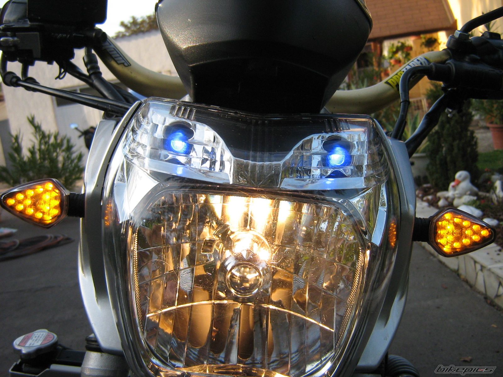Photo 2615187