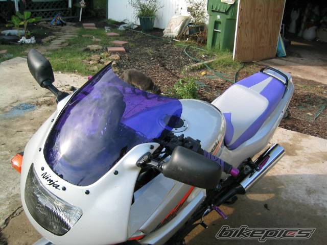 Photo 261525