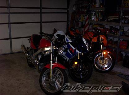Photo 261529