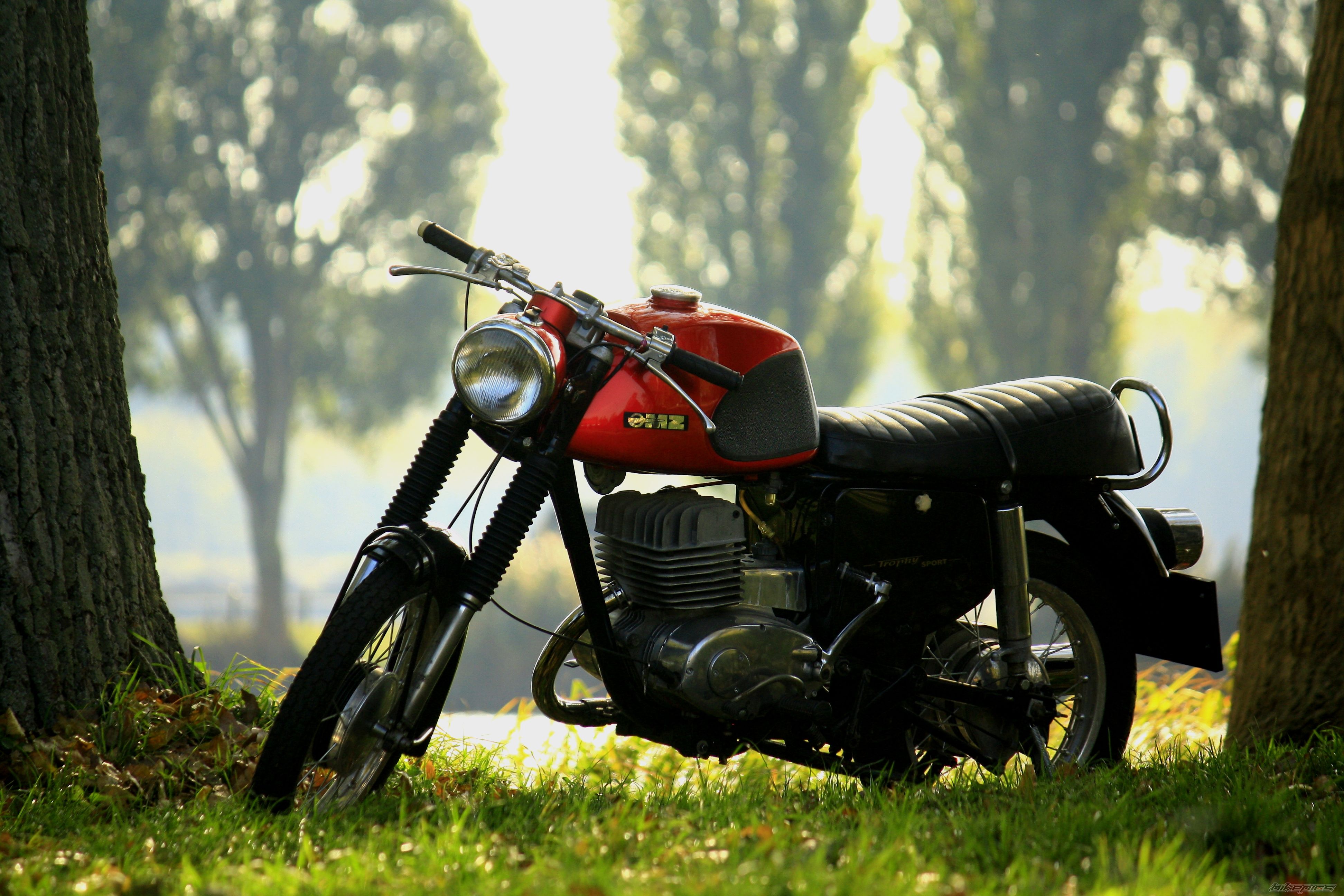 Bike Photo 2615398