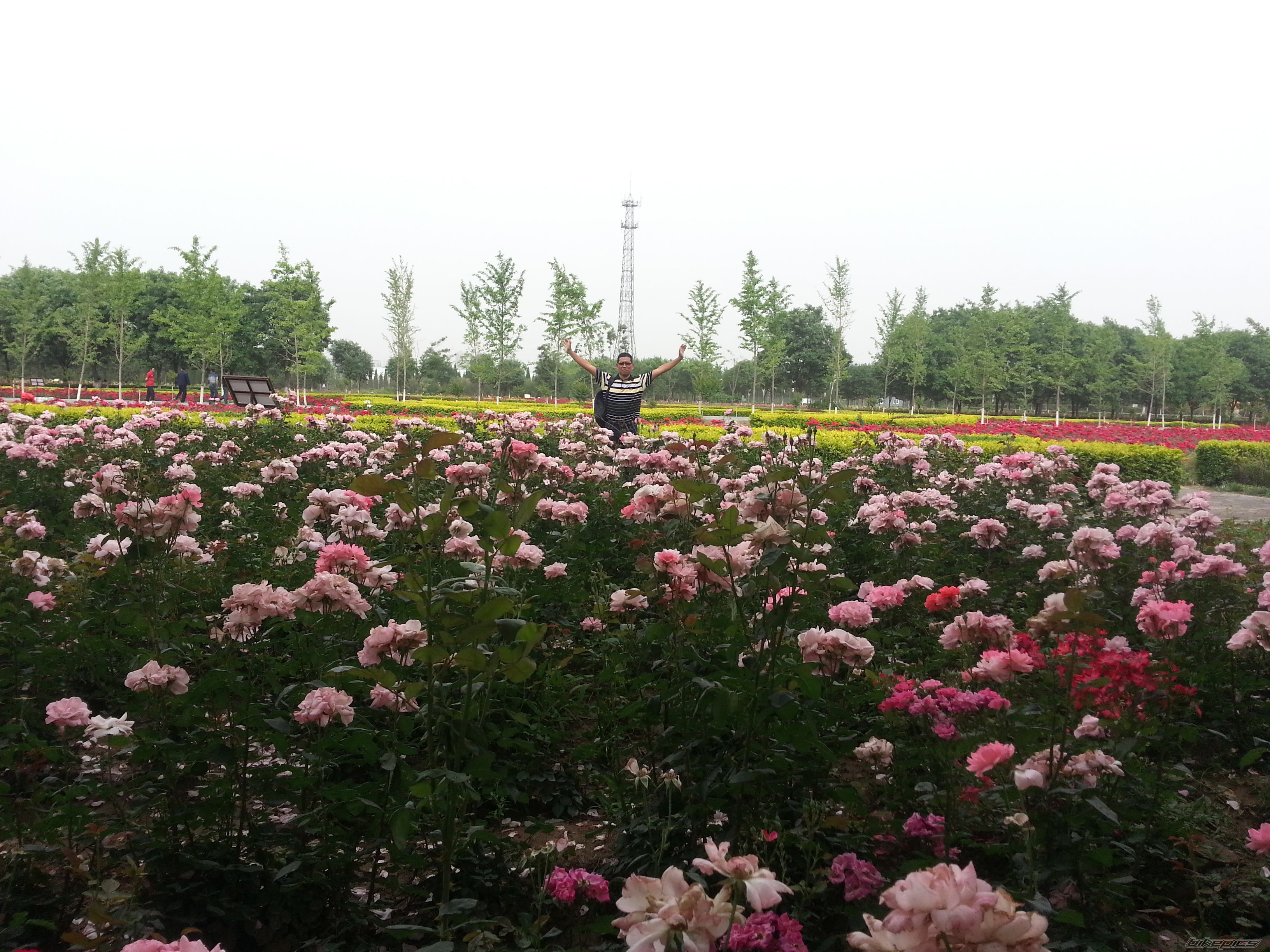 Photo 2615498