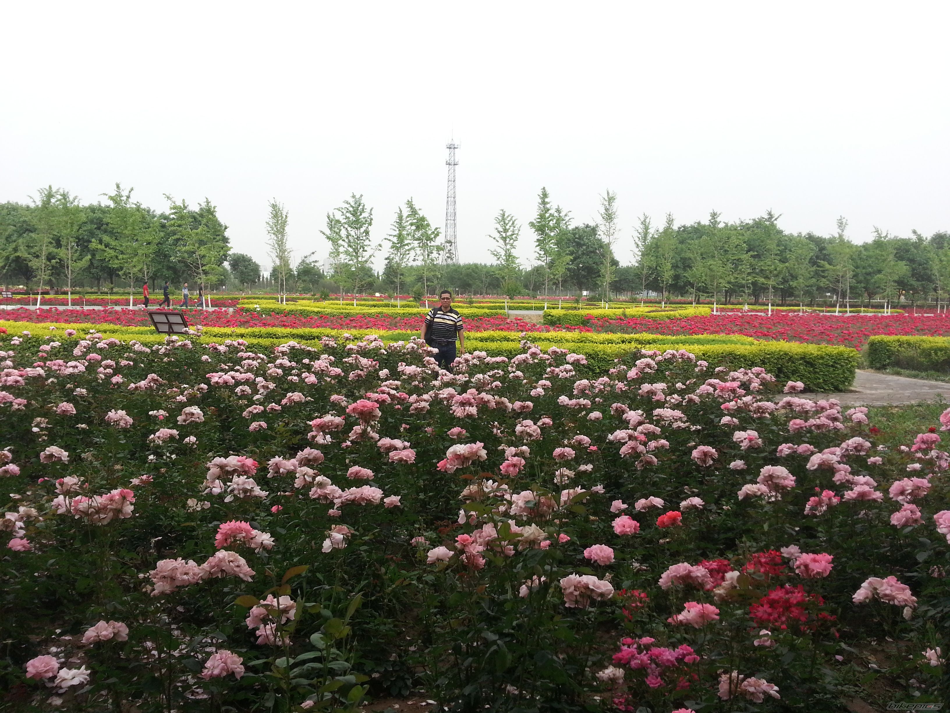Photo 2615504