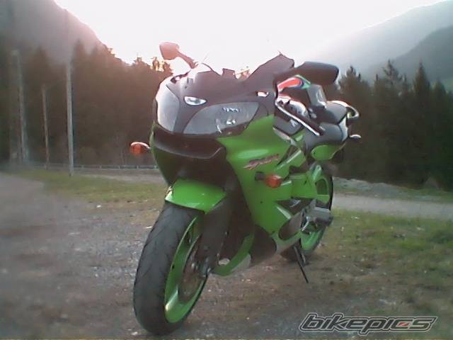 Photo 261557