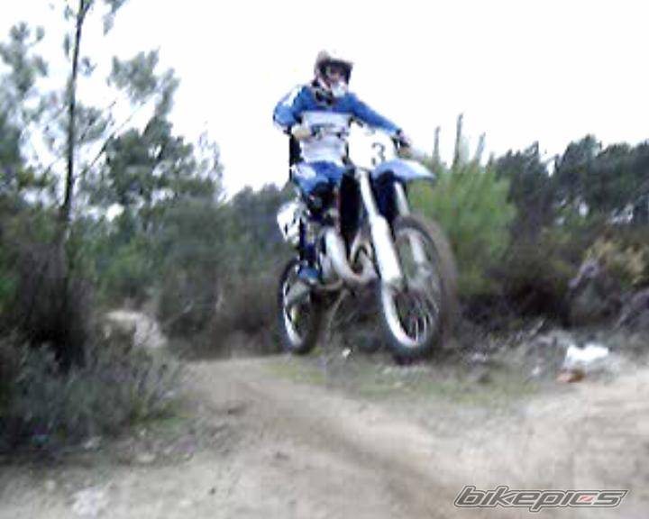 Photo 261561
