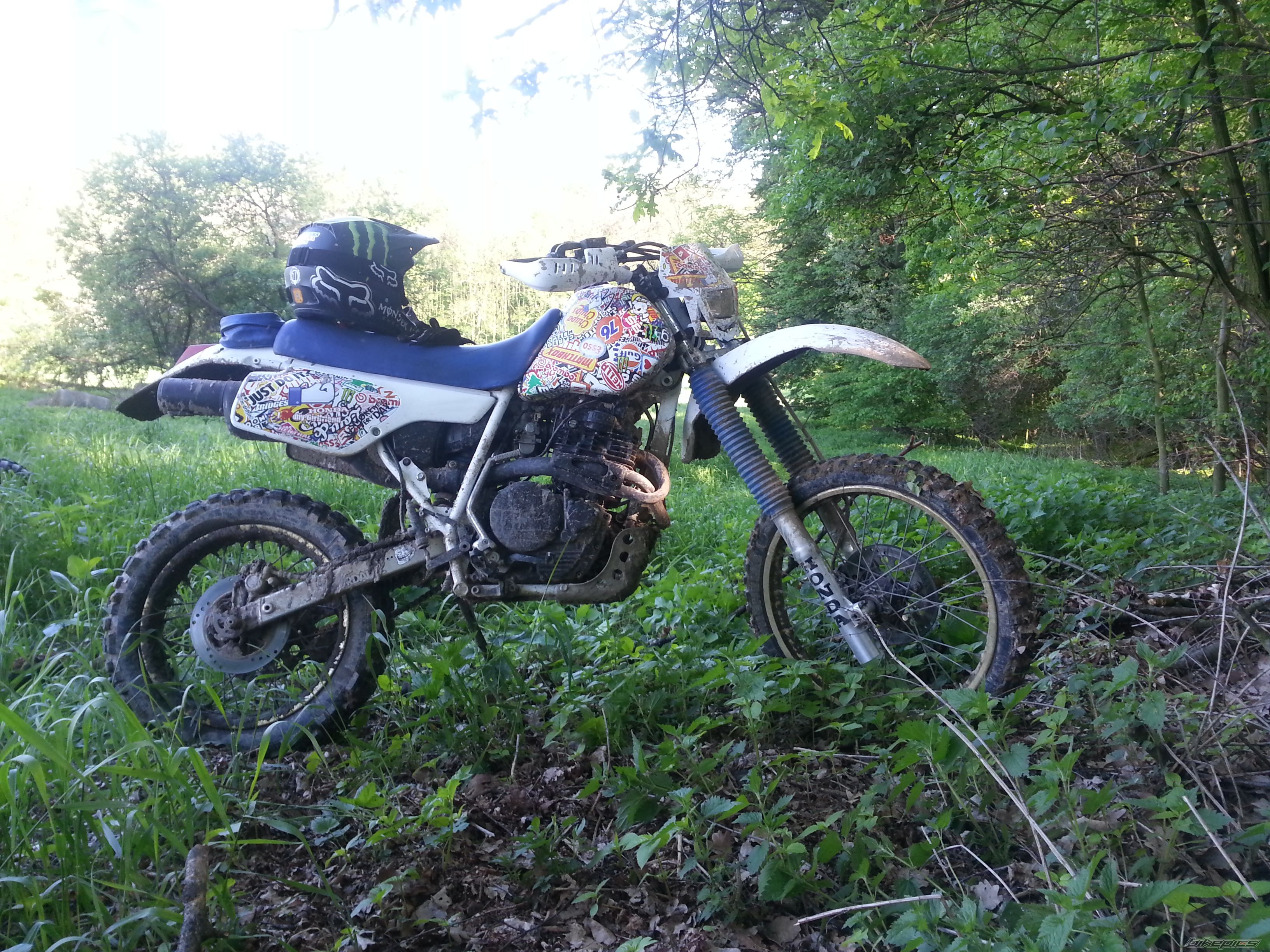 Photo 2615802