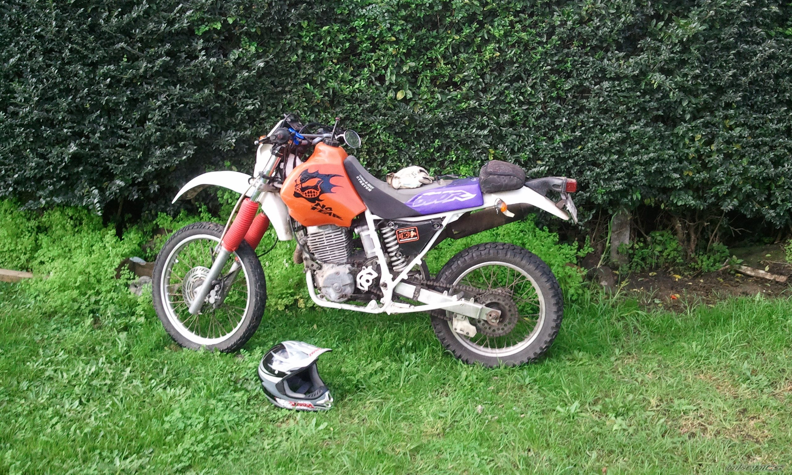 Photo 2615894