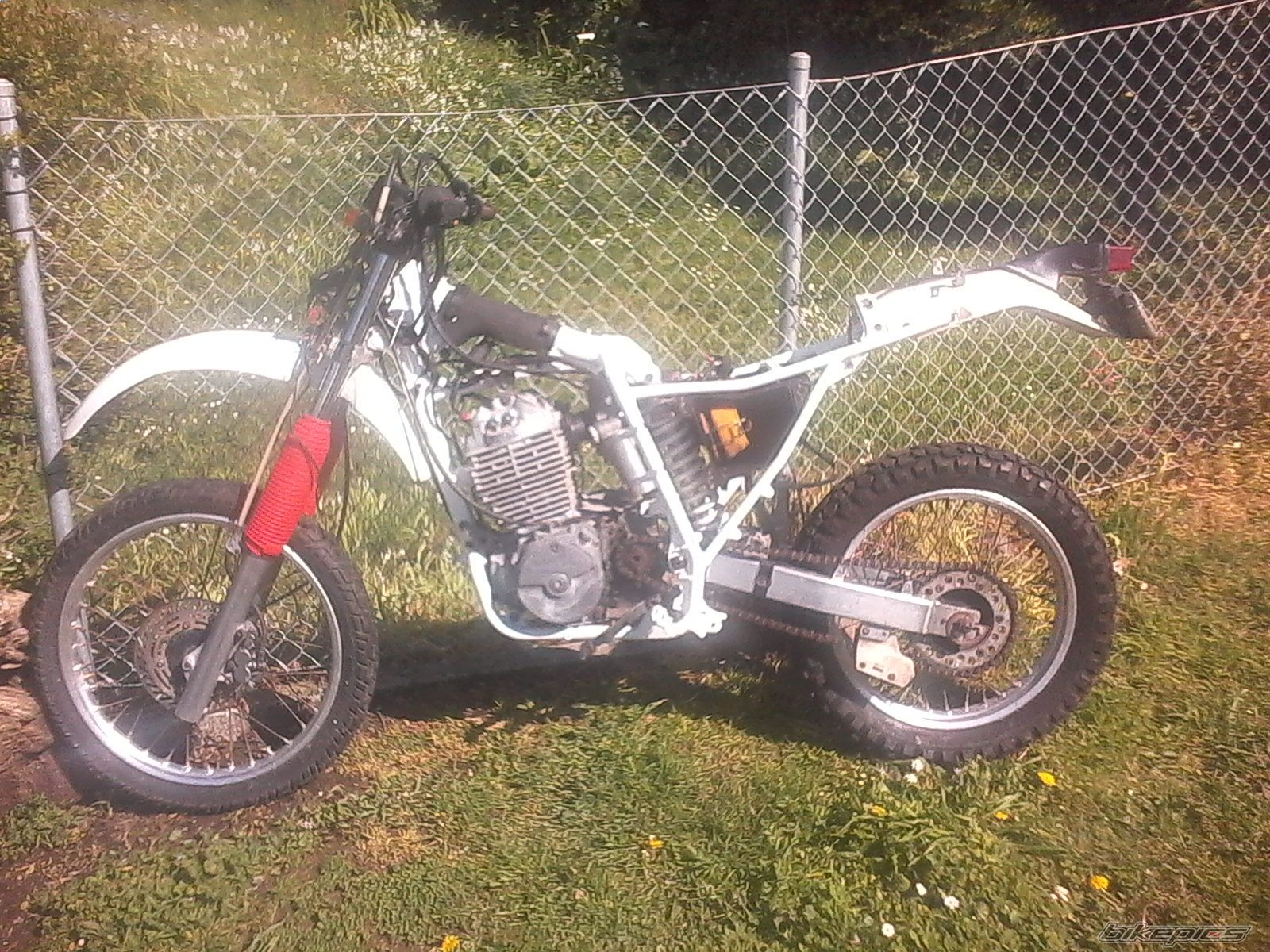 Photo 2615898